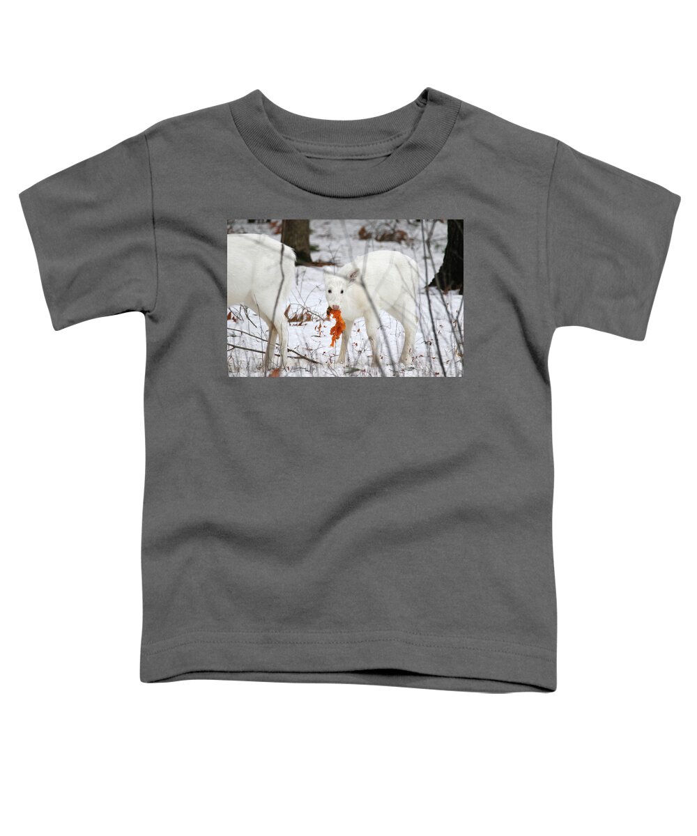 White Toddler T-Shirt featuring the photograph White Deer With Squash 5 by Brook Burling
