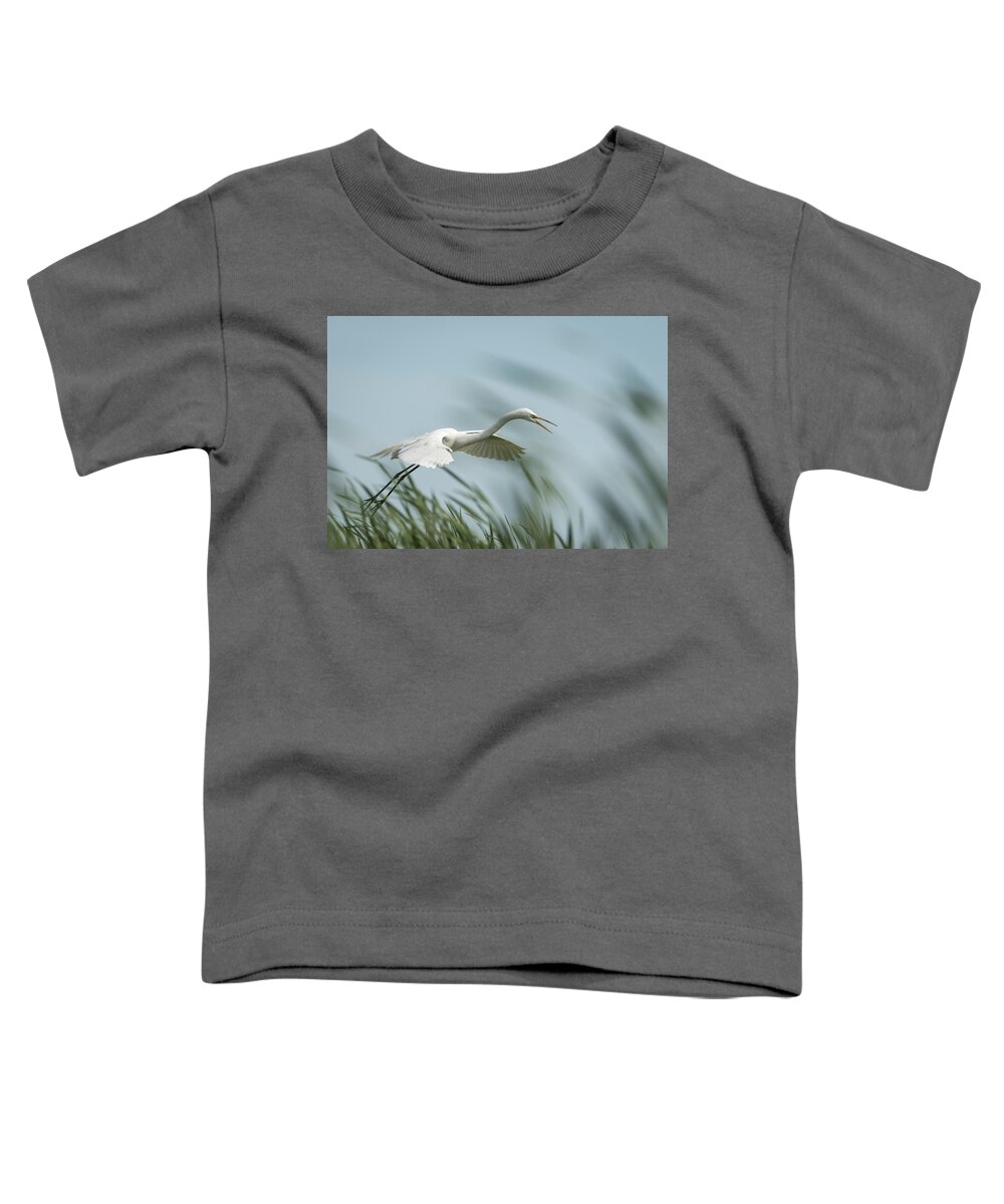 Great Egret Toddler T-Shirt featuring the photograph White Egret 2016-2 by Thomas Young