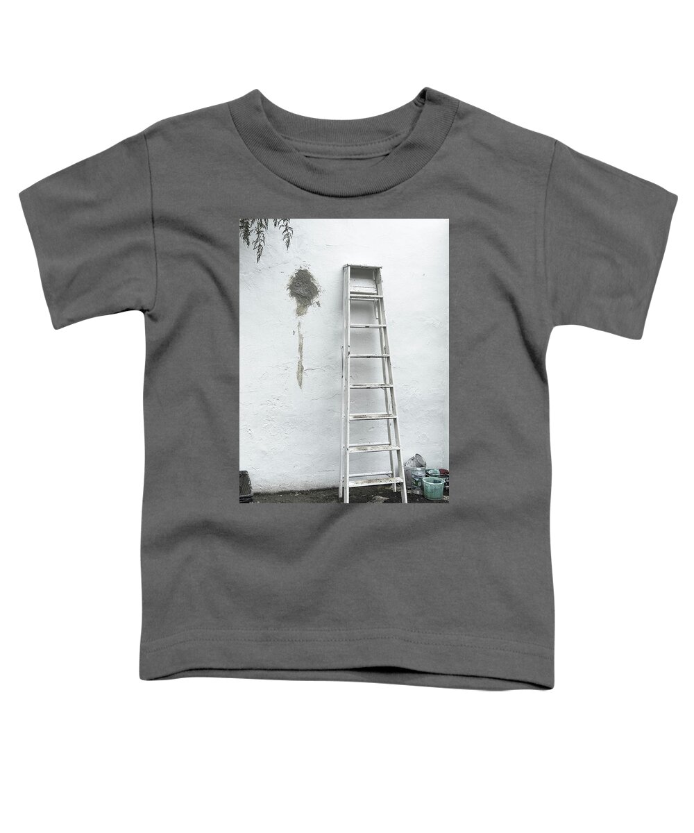 He Brattleboro Retreat Meadows Toddler T-Shirt featuring the photograph White Ladder by Tom Singleton