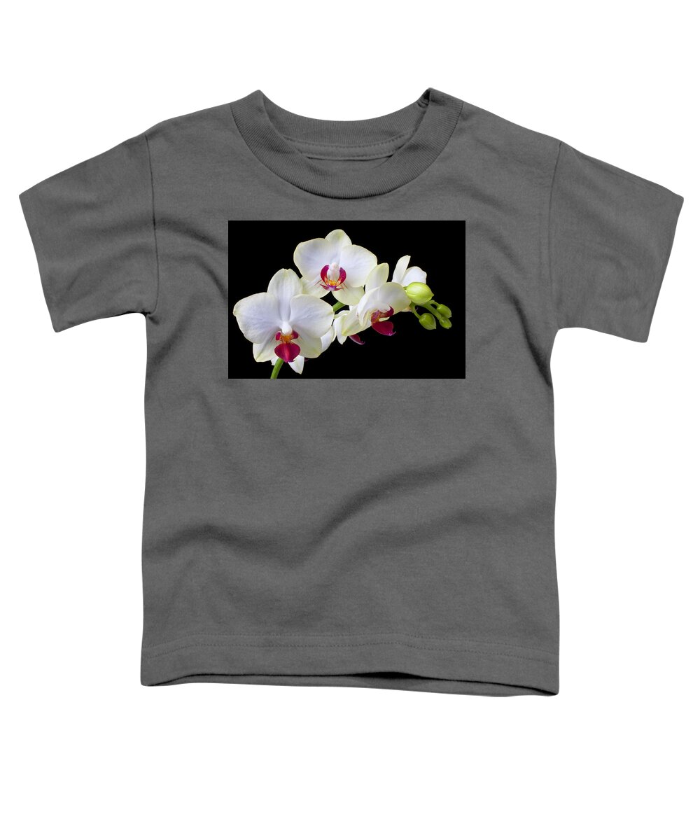 White Orchids Toddler T-Shirt featuring the photograph White Orchids by Garry Gay