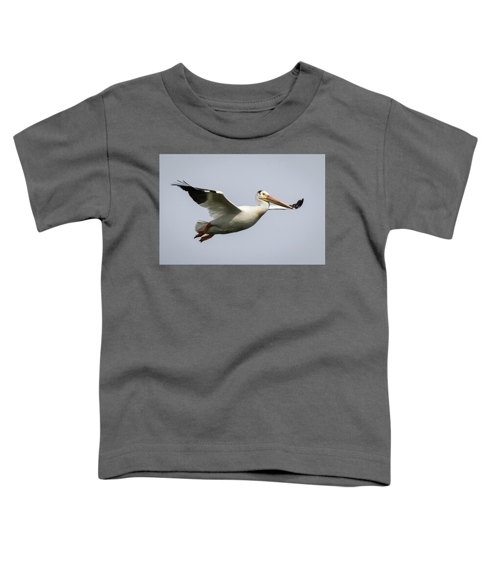 American White Pelican Toddler T-Shirt featuring the photograph White Pelican 2016-2 by Thomas Young
