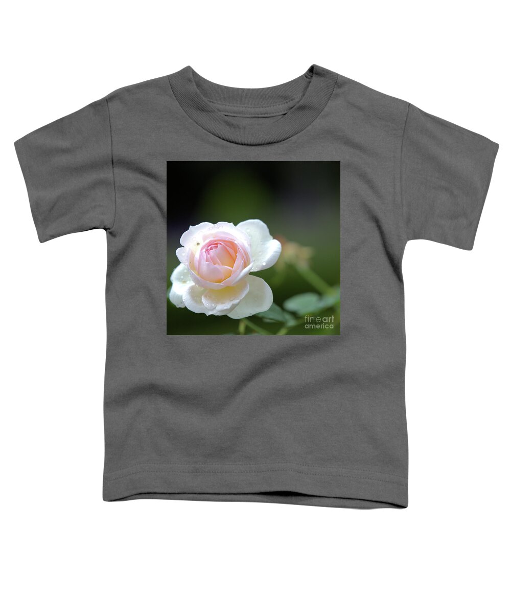 Rose Toddler T-Shirt featuring the photograph White rose by Agnes Caruso