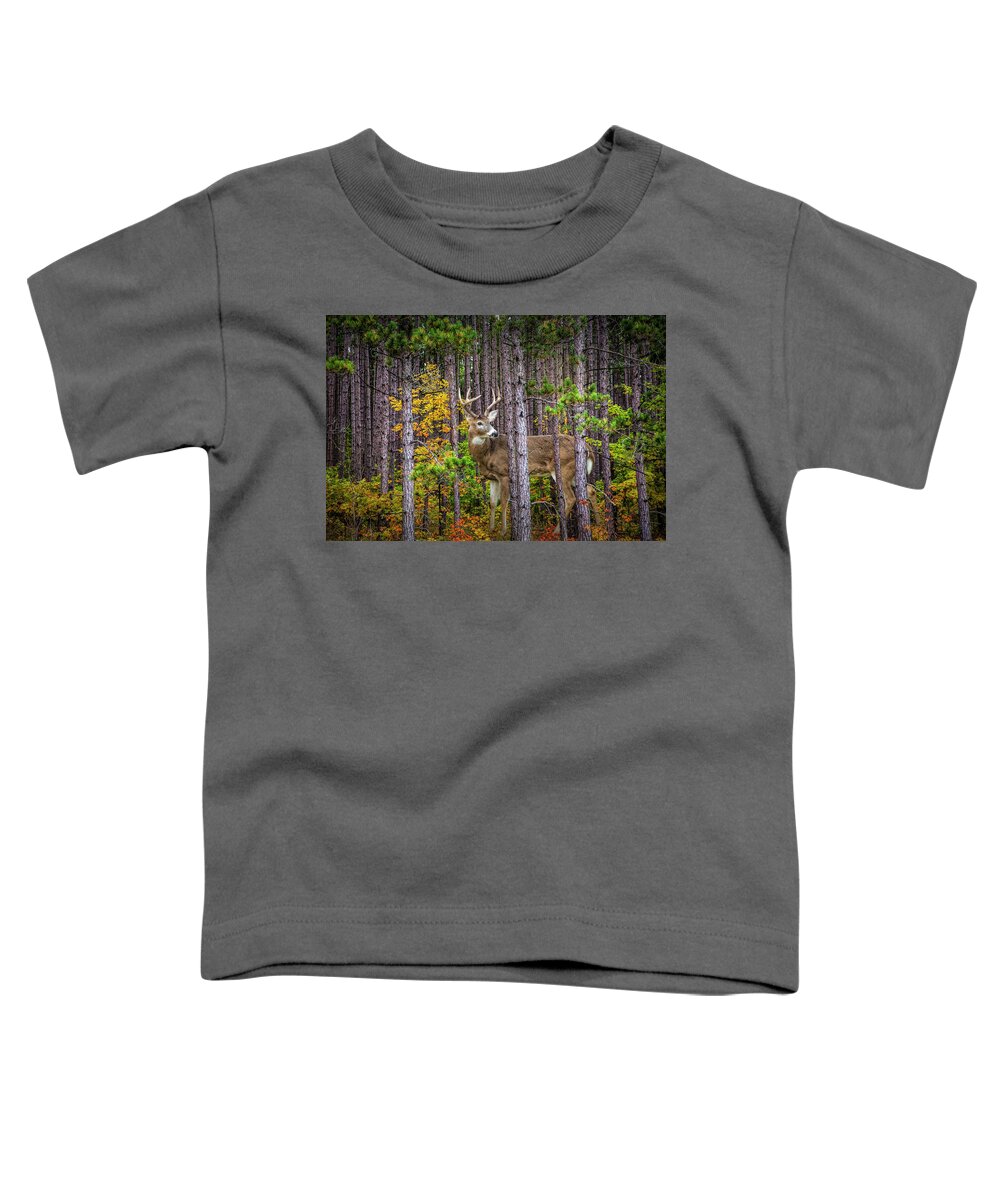 Whitetail Toddler T-Shirt featuring the photograph White Tailed Buck among the Pines by Randall Nyhof