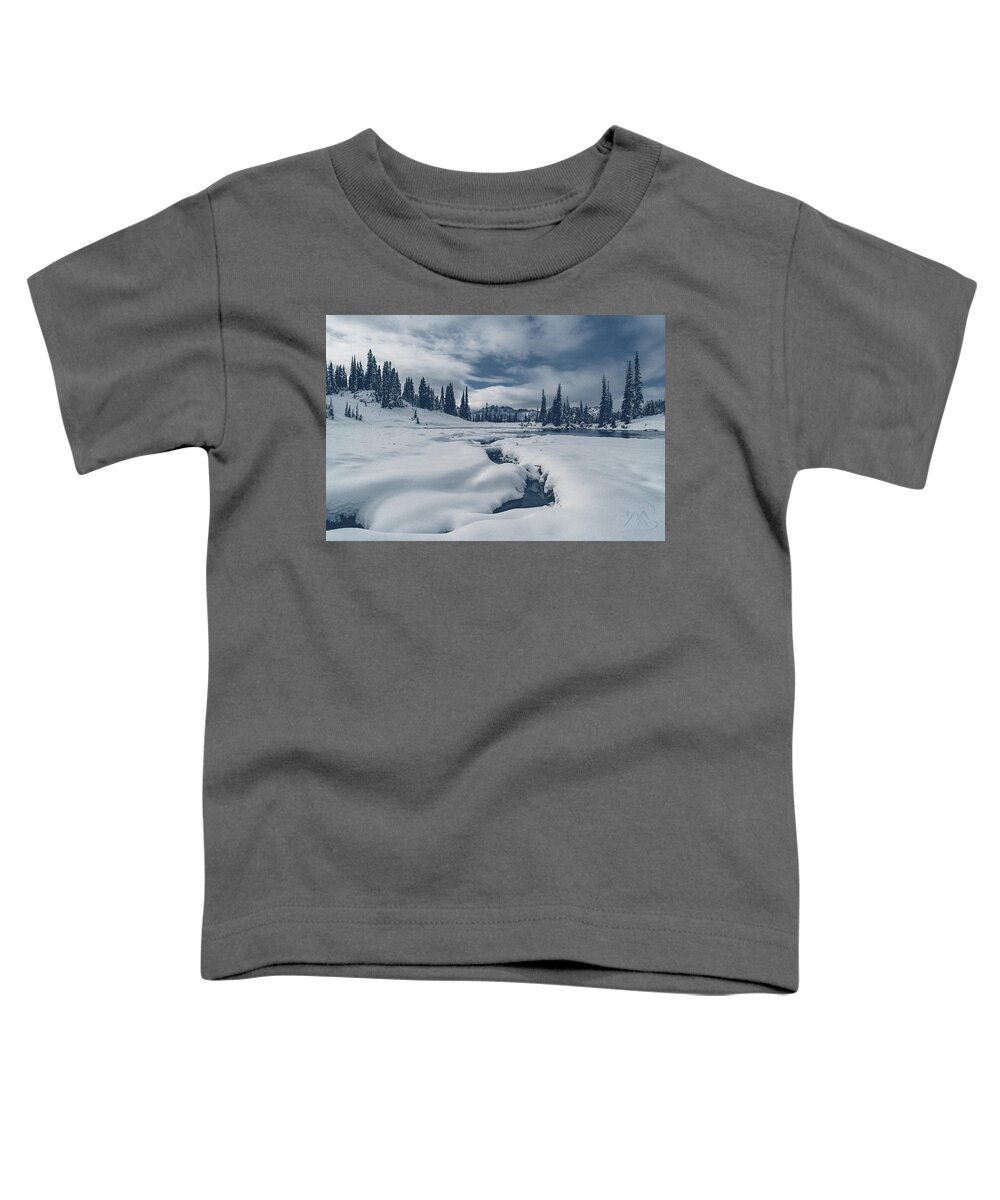 Mt. Rainier Toddler T-Shirt featuring the photograph Whiteout by Gene Garnace