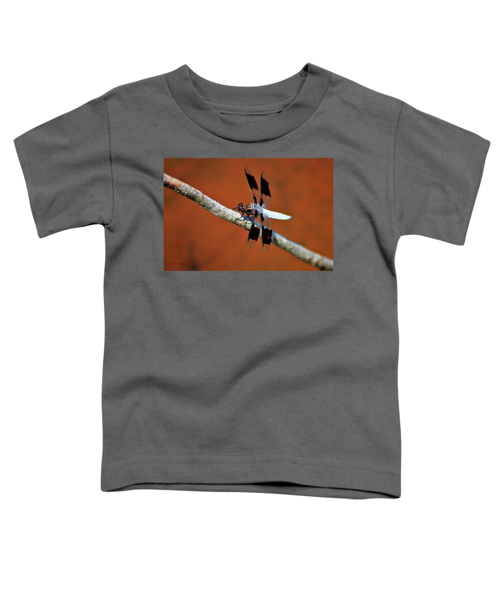  Long-tailed Skimmer Toddler T-Shirt featuring the photograph Whitetail by Kathy Kelly