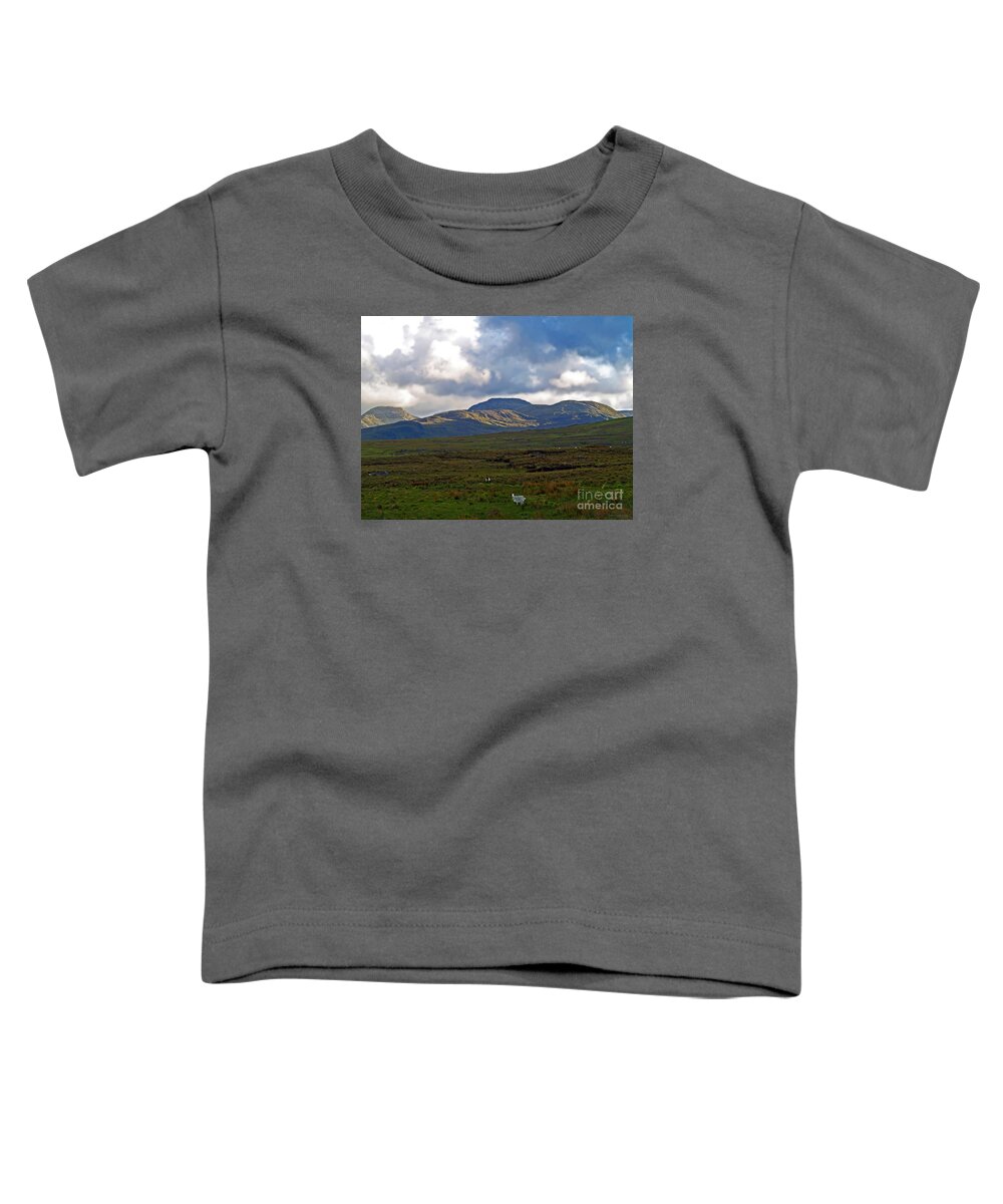 Fine Art Photography Toddler T-Shirt featuring the photograph Who You Lookin' At by Patricia Griffin Brett