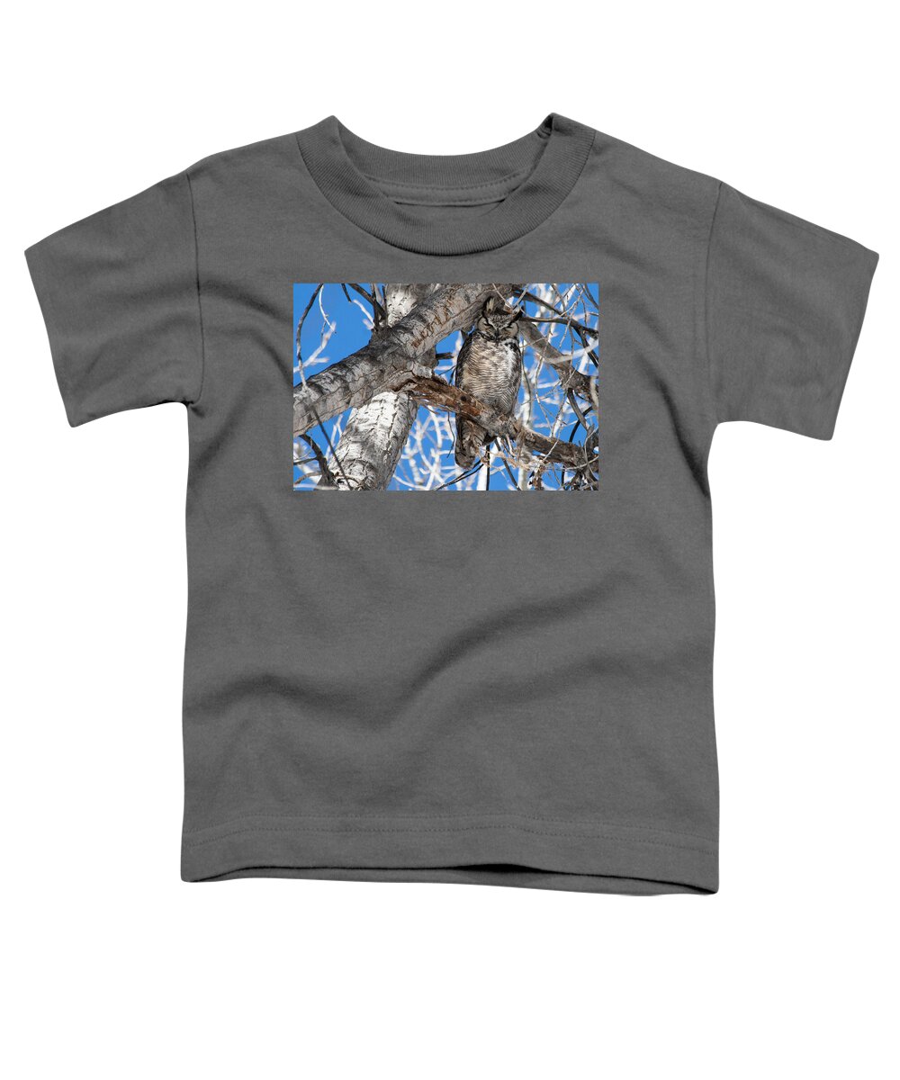 Great Horned Owl Toddler T-Shirt featuring the photograph Whooo Are You? by Mindy Musick King