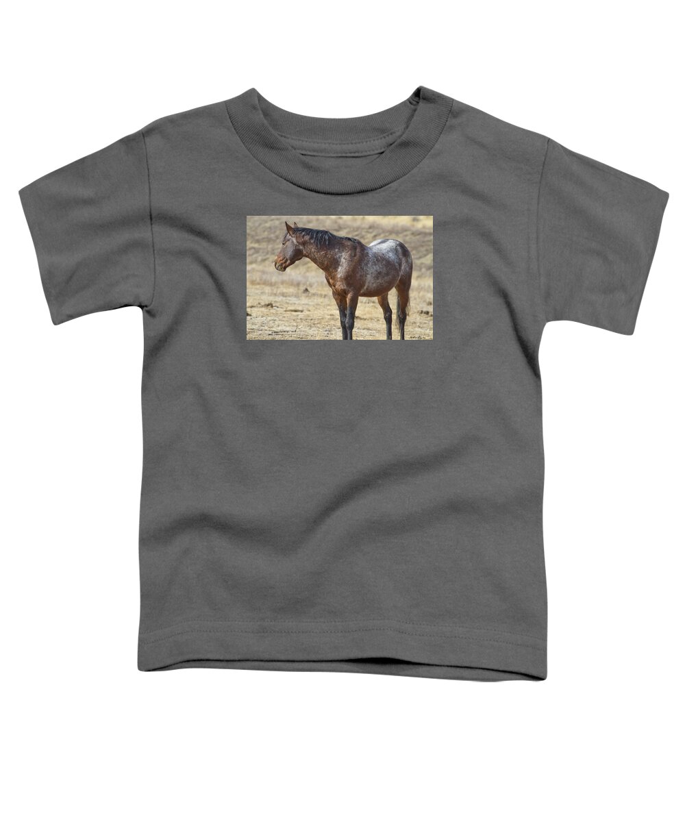 Horses Toddler T-Shirt featuring the photograph Wild Appaloosa Mustang Stallion by Waterdancer 