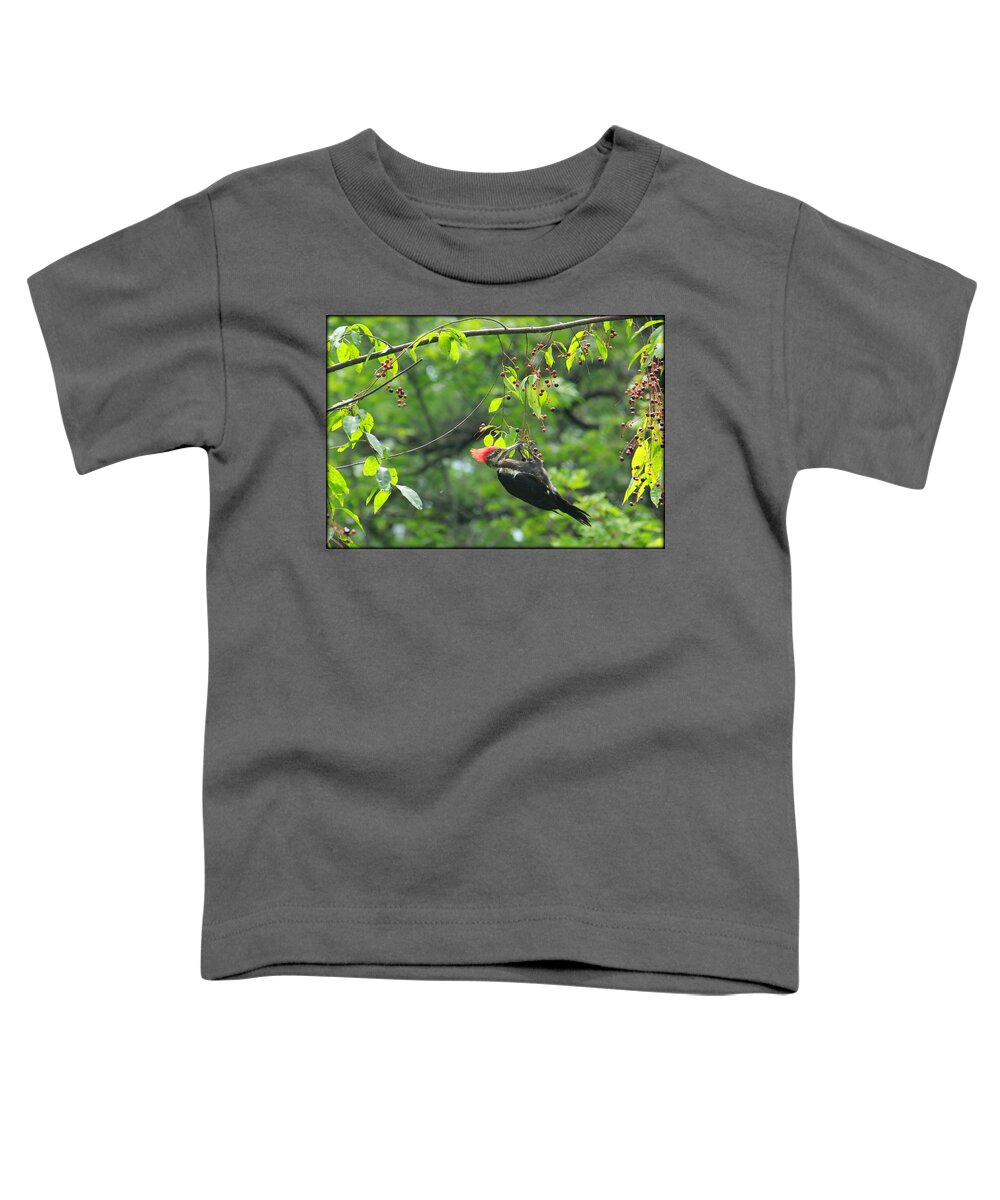 Pileated Woodpecker Toddler T-Shirt featuring the photograph Wild Cherry Snack by Tammy Schneider