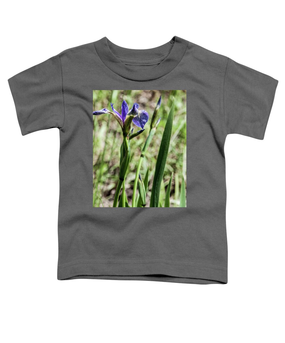 Iris Flower Toddler T-Shirt featuring the photograph WIld Maine Iris by Daniel Hebard
