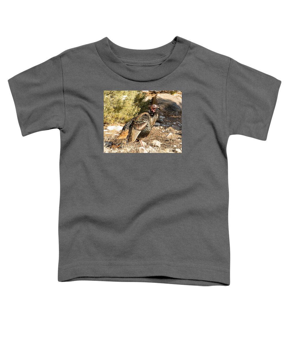 Bird Toddler T-Shirt featuring the photograph Wild Turkey by Dennis Hammer