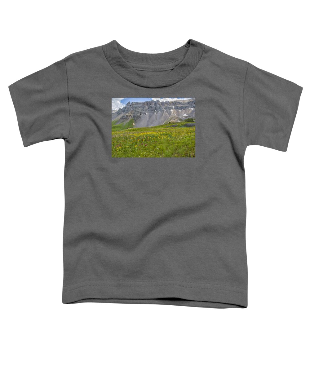 Colorado Toddler T-Shirt featuring the photograph Wildflowers in Governor Basin by Alan Toepfer