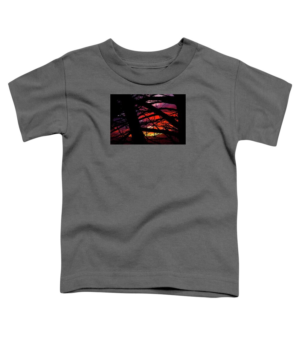 The Walkers Toddler T-Shirt featuring the photograph Wildlight by The Walkers