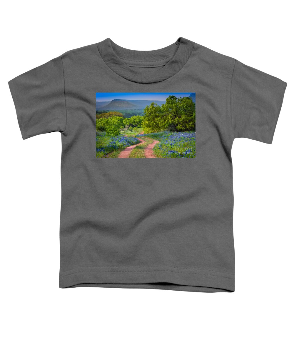 America Toddler T-Shirt featuring the photograph Willow City Road by Inge Johnsson