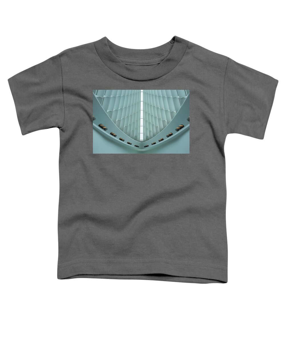 Windhover Hall Toddler T-Shirt featuring the photograph Windhover #1 by John Roach
