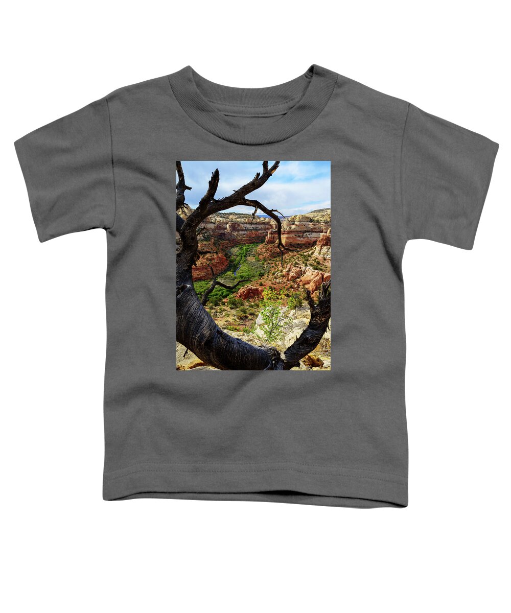 Chad Dutson Toddler T-Shirt featuring the photograph Window by Chad Dutson