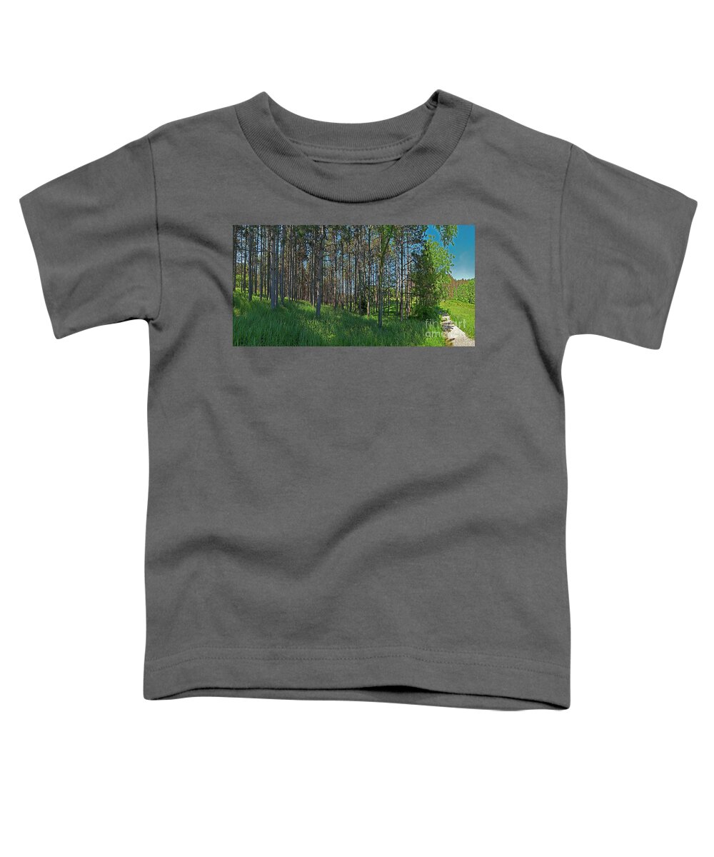 Wingate Toddler T-Shirt featuring the photograph Wingate Prairie Veteran Acres Park Pines Crystal Lake IL by Tom Jelen