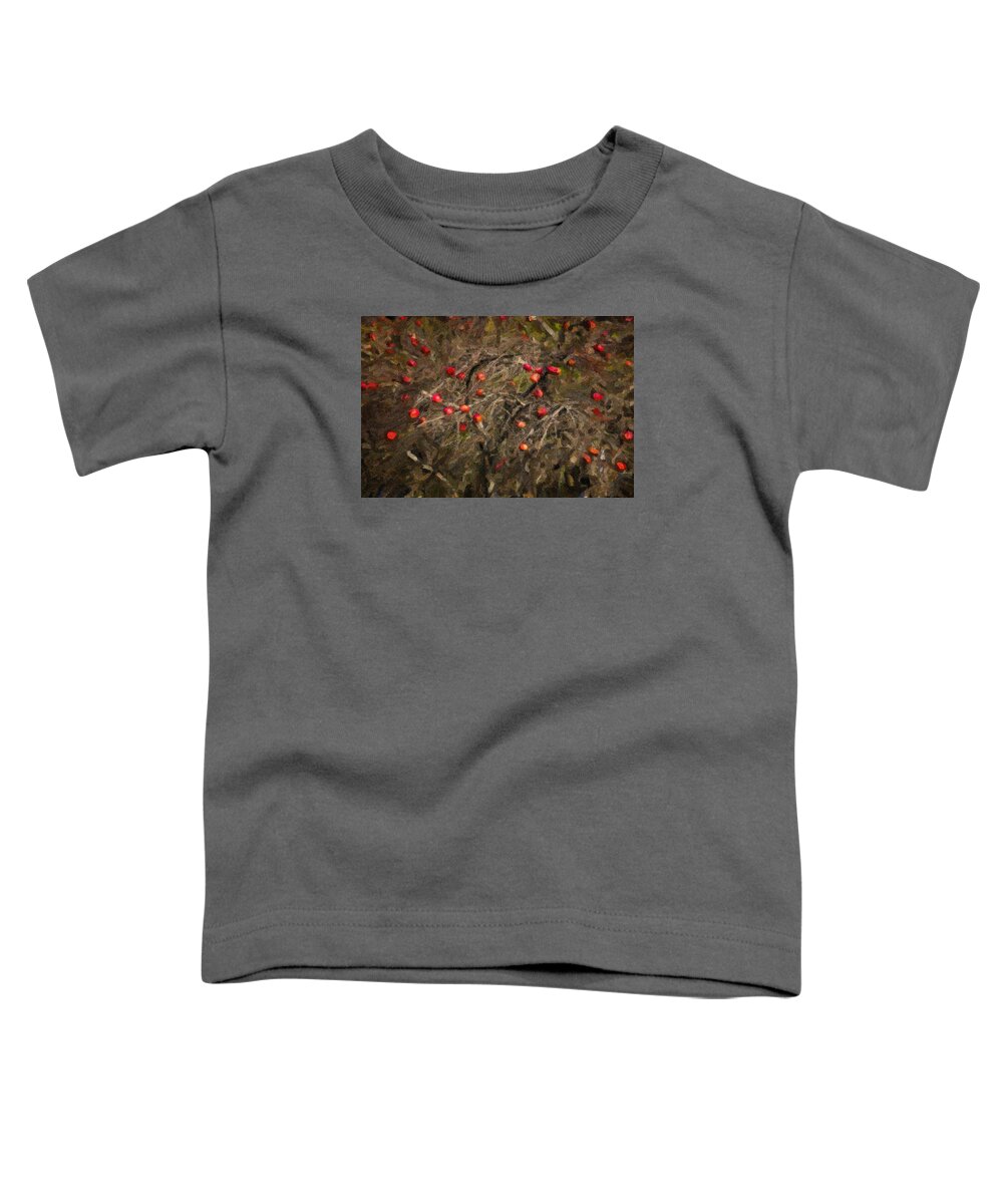 Maine Lobster Boats Toddler T-Shirt featuring the photograph Winter Apple Abstract by Tom Singleton