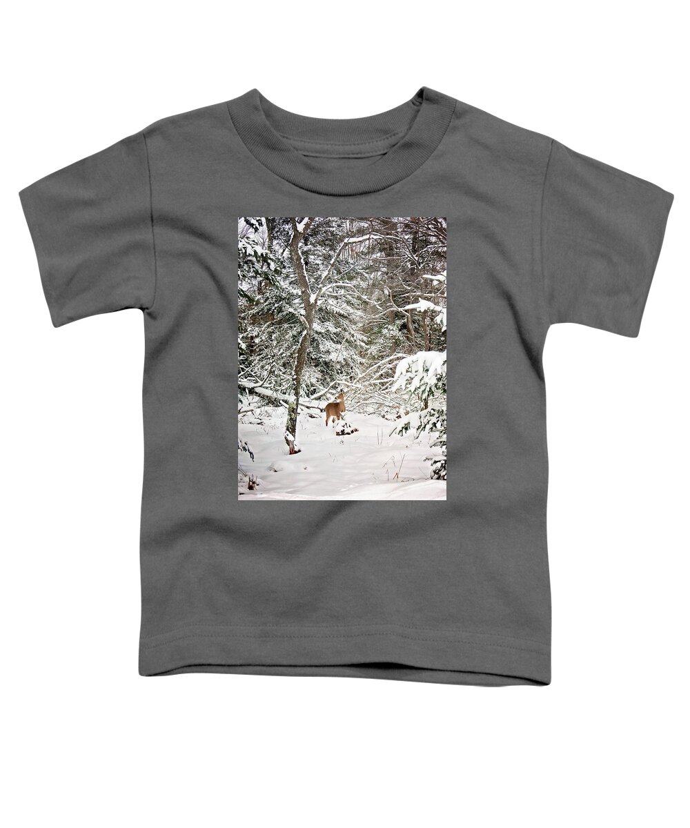 Winter Deer In The Forest Print Toddler T-Shirt featuring the photograph Winter Deer in the Forest by Gwen Gibson