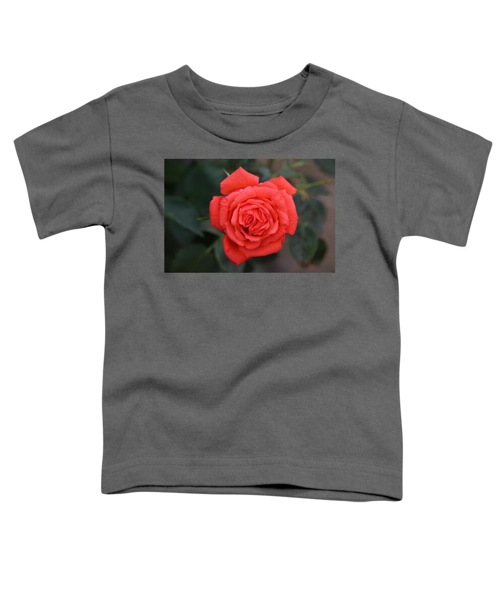 Red Toddler T-Shirt featuring the photograph Winter rose by James Smullins