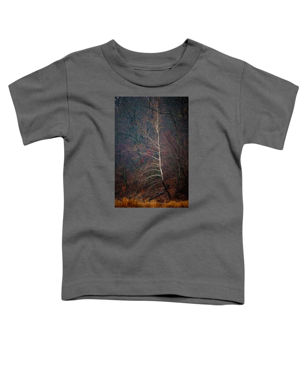 Landscape Toddler T-Shirt featuring the photograph Winter Sycamore by Jeff Phillippi