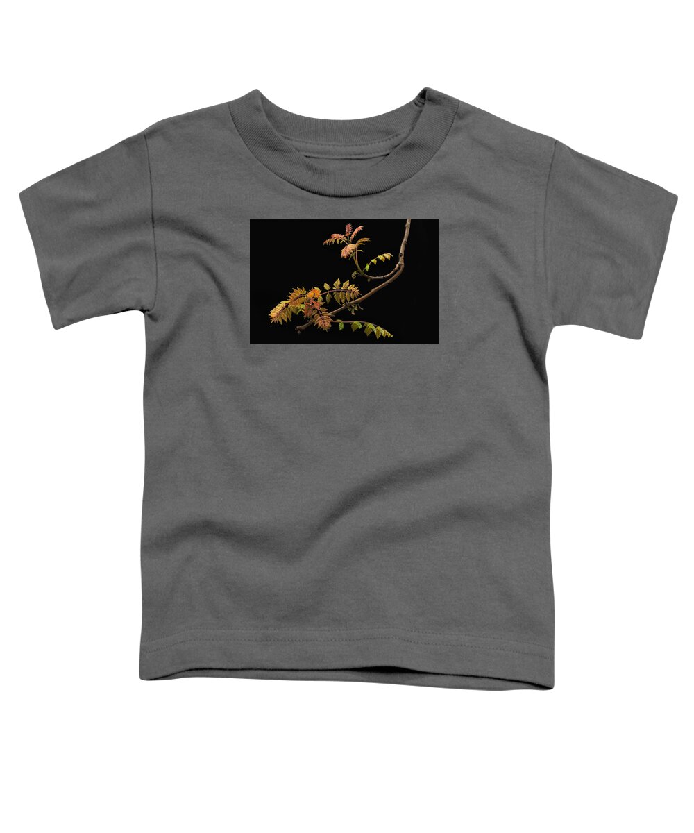 Wisteria Toddler T-Shirt featuring the photograph Wisteria Colors by Ken Barrett