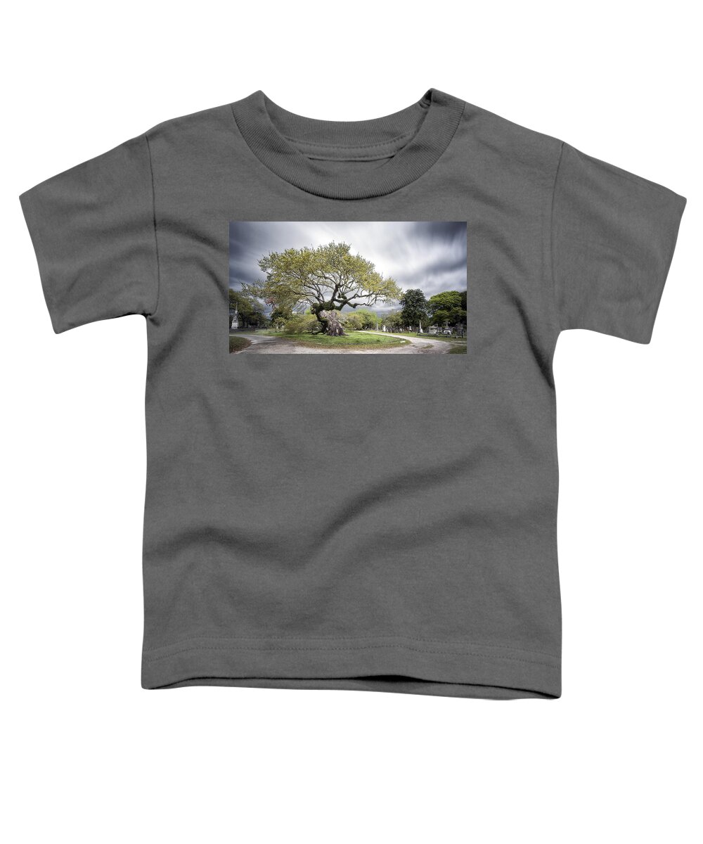 Charleston Toddler T-Shirt featuring the photograph Withstanding Time by Robert Fawcett
