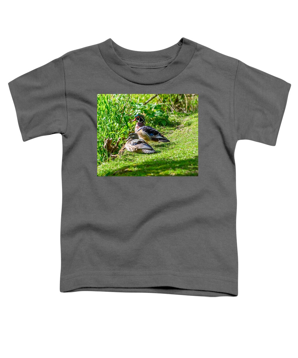 Wood Ducks Toddler T-Shirt featuring the photograph Wood Duck Pair by Jerry Cahill