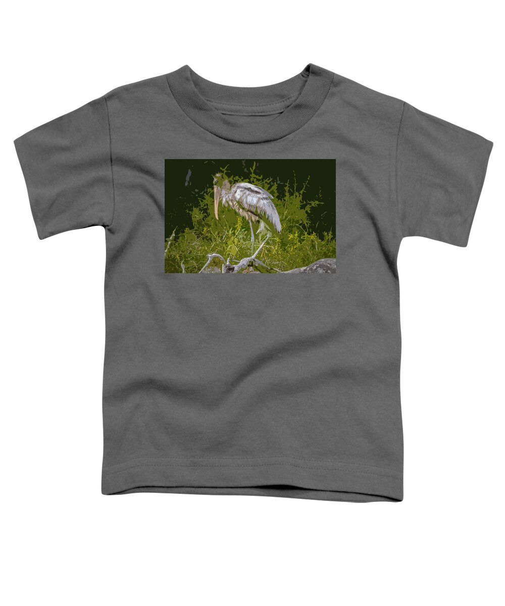 Birds Toddler T-Shirt featuring the photograph Wood Stork by George Kenhan