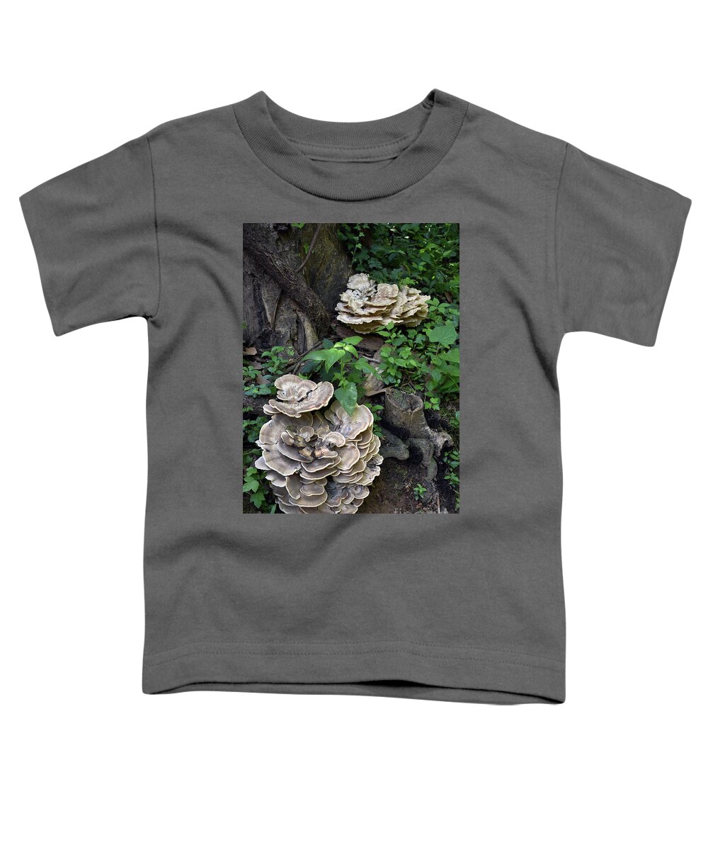 Scenic Toddler T-Shirt featuring the photograph Woodland Growth by Skip Willits
