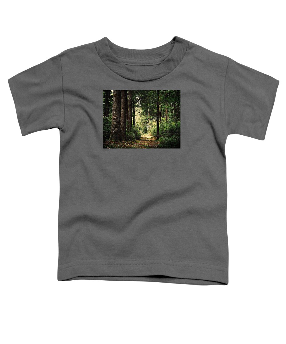 Woodland Hush Toddler T-Shirt featuring the photograph Woodland Hush by Joy Nichols