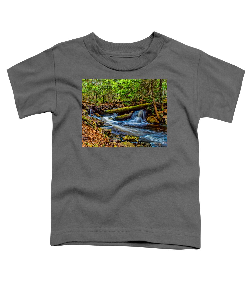 Waterfall Toddler T-Shirt featuring the photograph Woodland Stream and Falls by Nick Zelinsky Jr