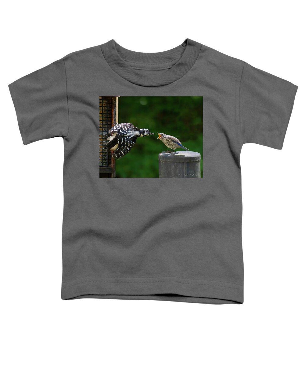Woodpecker Toddler T-Shirt featuring the photograph Woodpecker Feeding Bluebird by Robert L Jackson