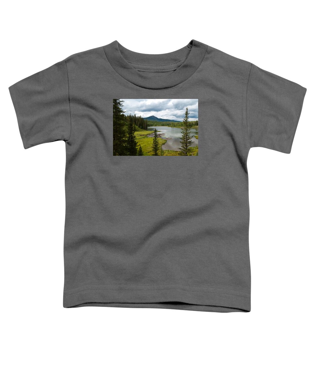 Wood's Lake Toddler T-Shirt featuring the photograph Wood's Lake Summer Landscape by Cascade Colors