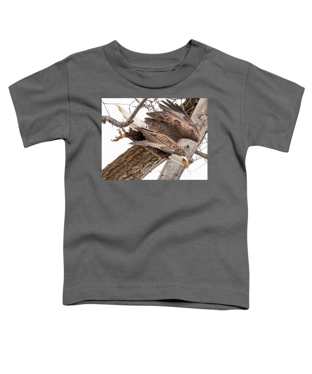Wildlife Toddler T-Shirt featuring the photograph Yampa Perch by Kevin Dietrich