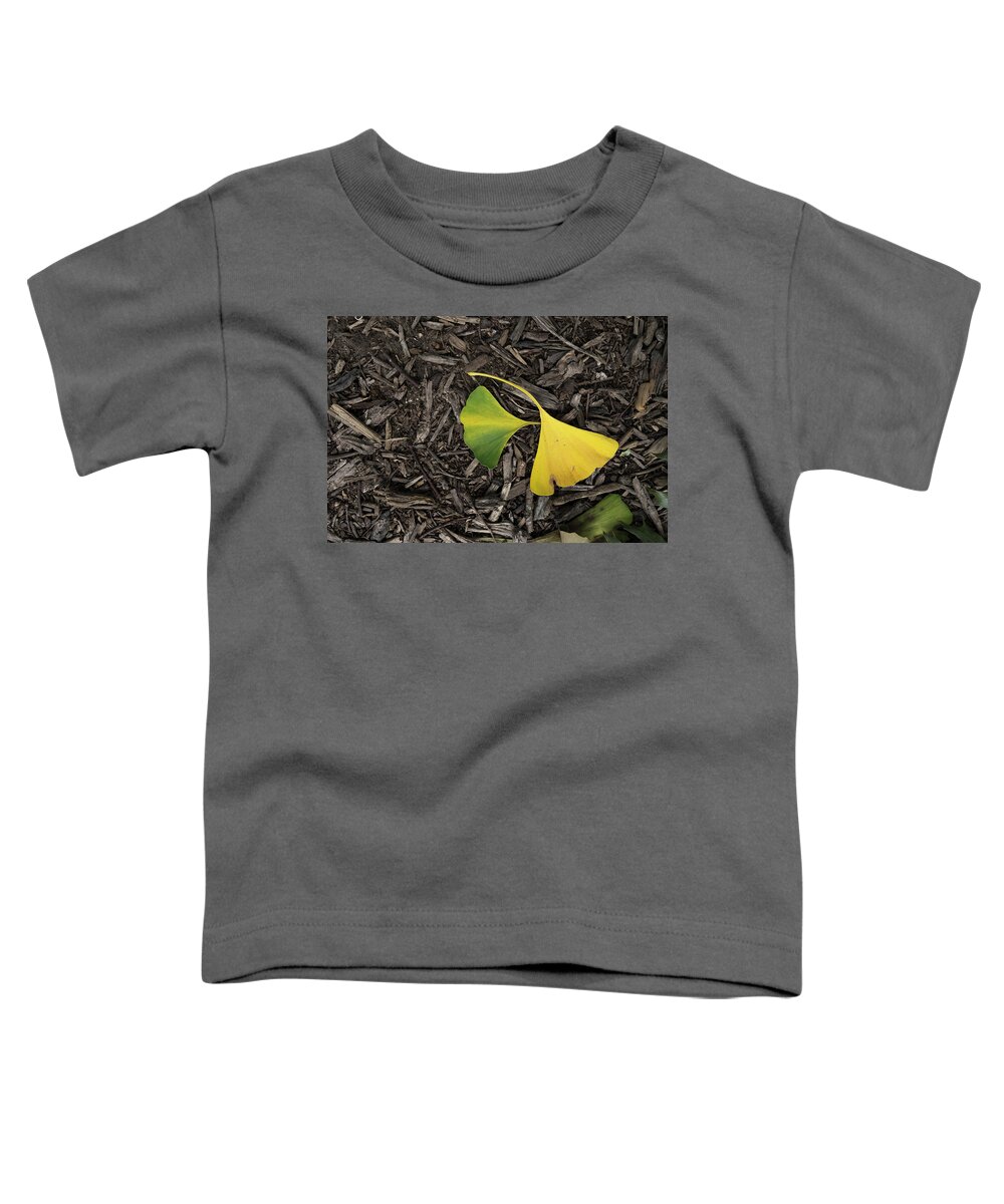 Ginkgo Leaves Divided Toddler T-Shirt featuring the photograph Yellow and Green Gingko by Sharon Popek