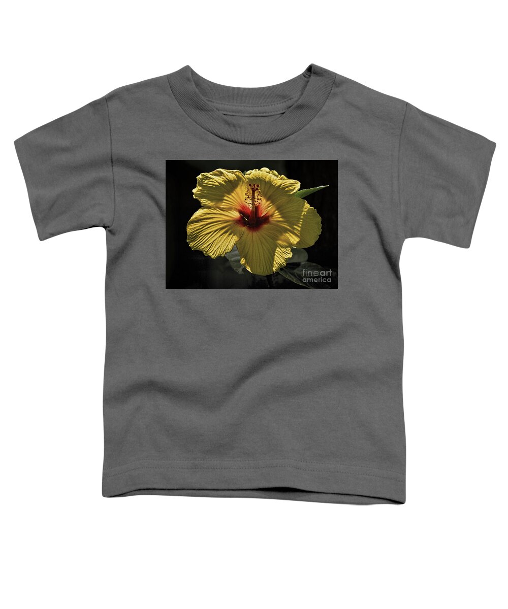 Hibiscus Toddler T-Shirt featuring the photograph Yellow Hibiscus by Norman Gabitzsch