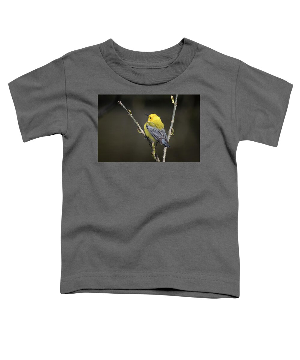 Canada Toddler T-Shirt featuring the photograph Yellow Hood and Blue Cape by Gary Hall