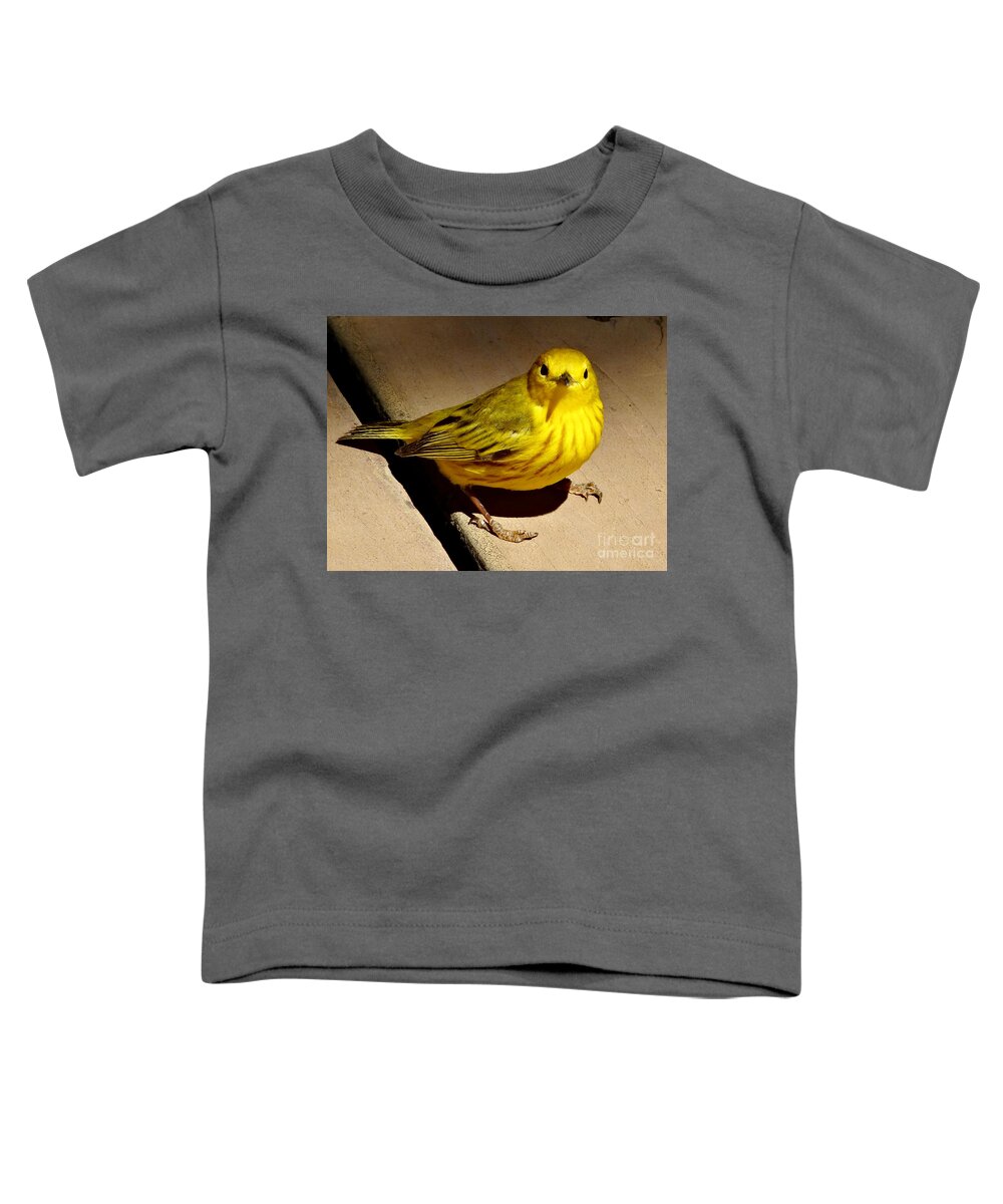 © 2017 Toddler T-Shirt featuring the photograph Yellow Warbler by Christopher Plummer