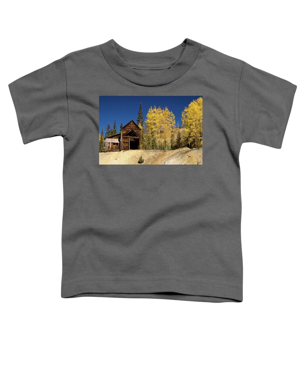 Colorado Toddler T-Shirt featuring the photograph Yesterday's Treasure by Steve Stuller