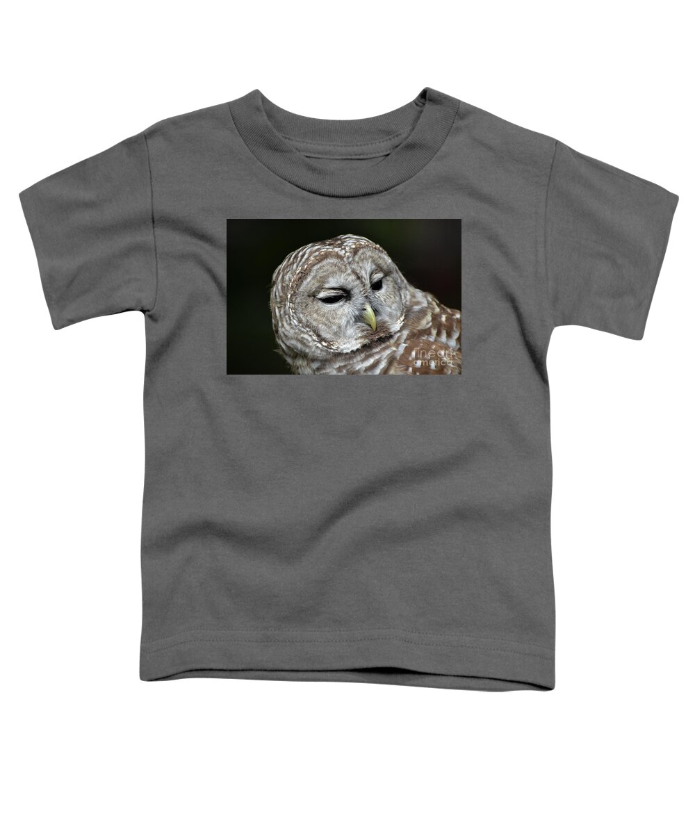Barred Owl Owl Toddler T-Shirt featuring the photograph You Mean Whom? by Amy Porter