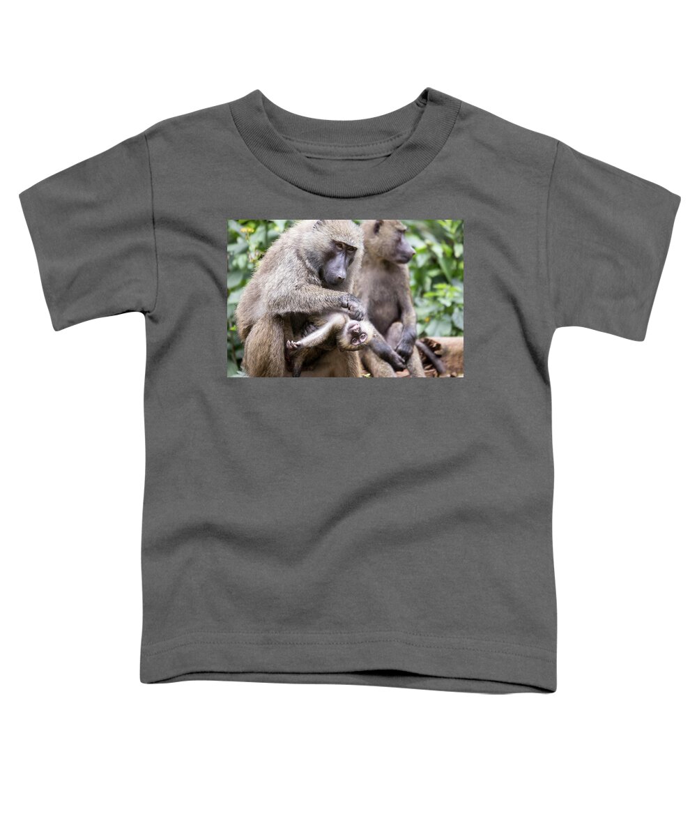 Adult Toddler T-Shirt featuring the photograph Young olive or common baboon grooming by Karen Foley