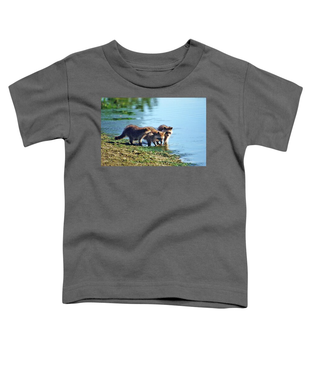 Raccoon Toddler T-Shirt featuring the photograph Young Raccoons by Ted Keller