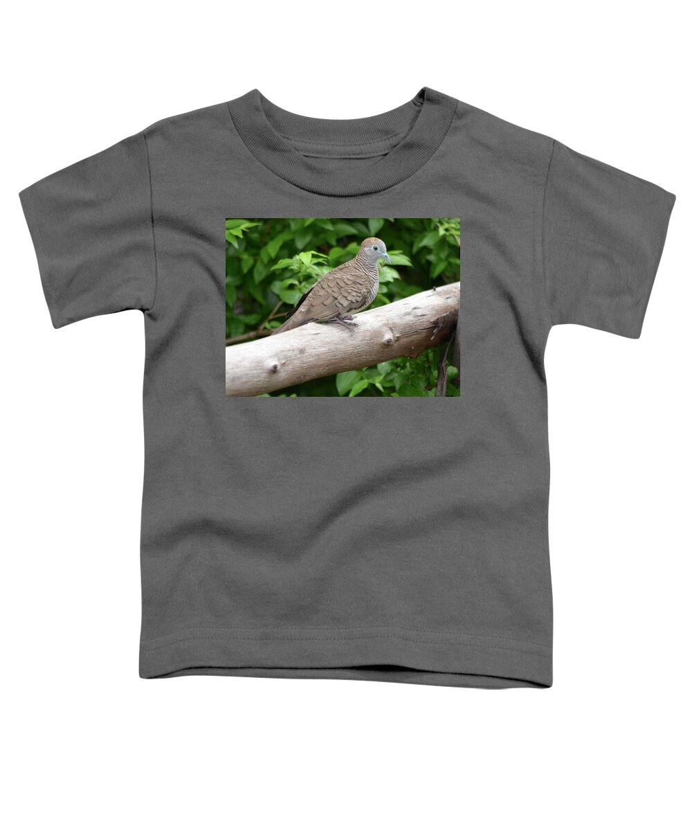 Dove Toddler T-Shirt featuring the photograph Zebra Dove by Richard Bryce and Family