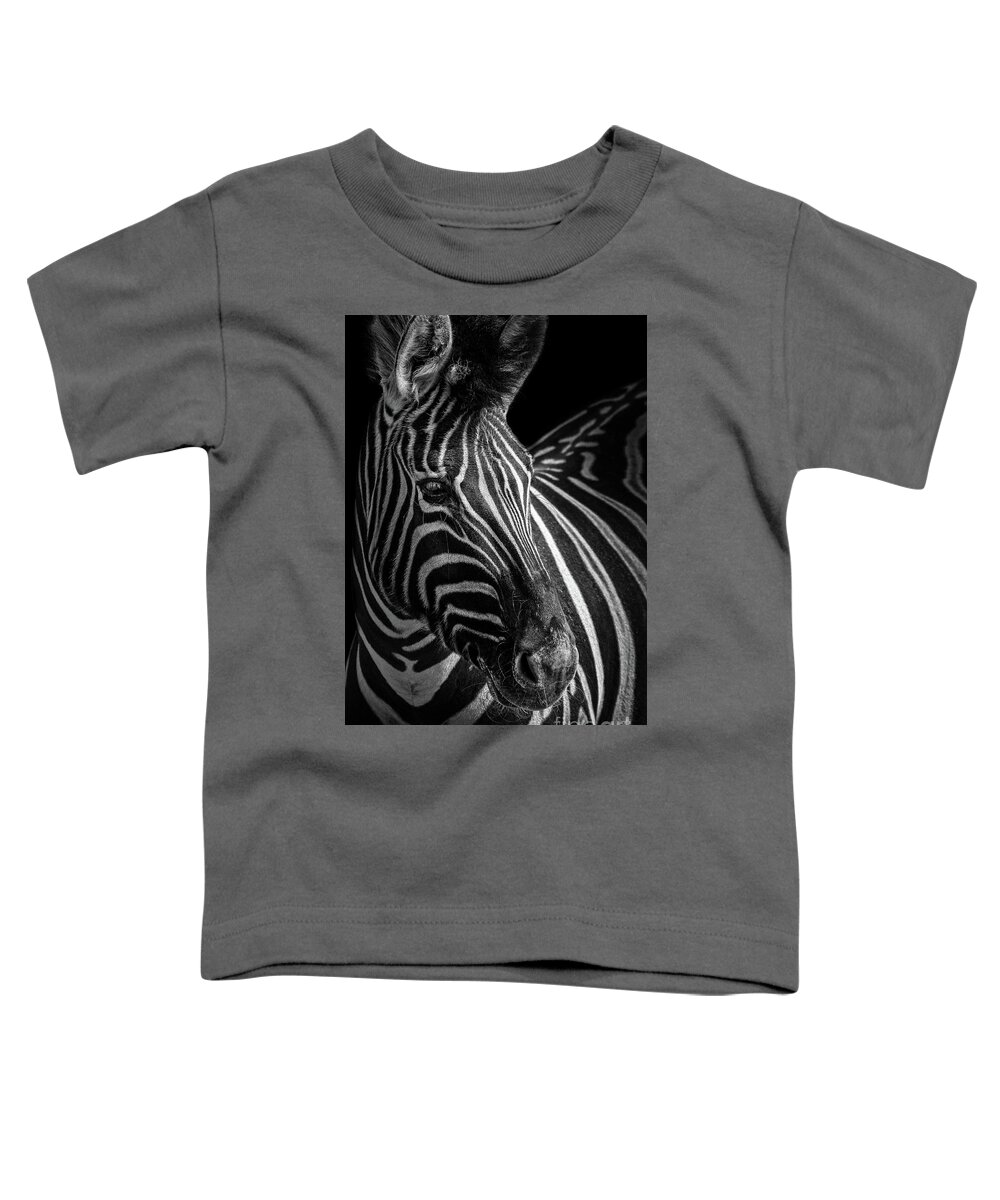 Zebra Toddler T-Shirt featuring the photograph Zebra Portrait by Jarrod Erbe