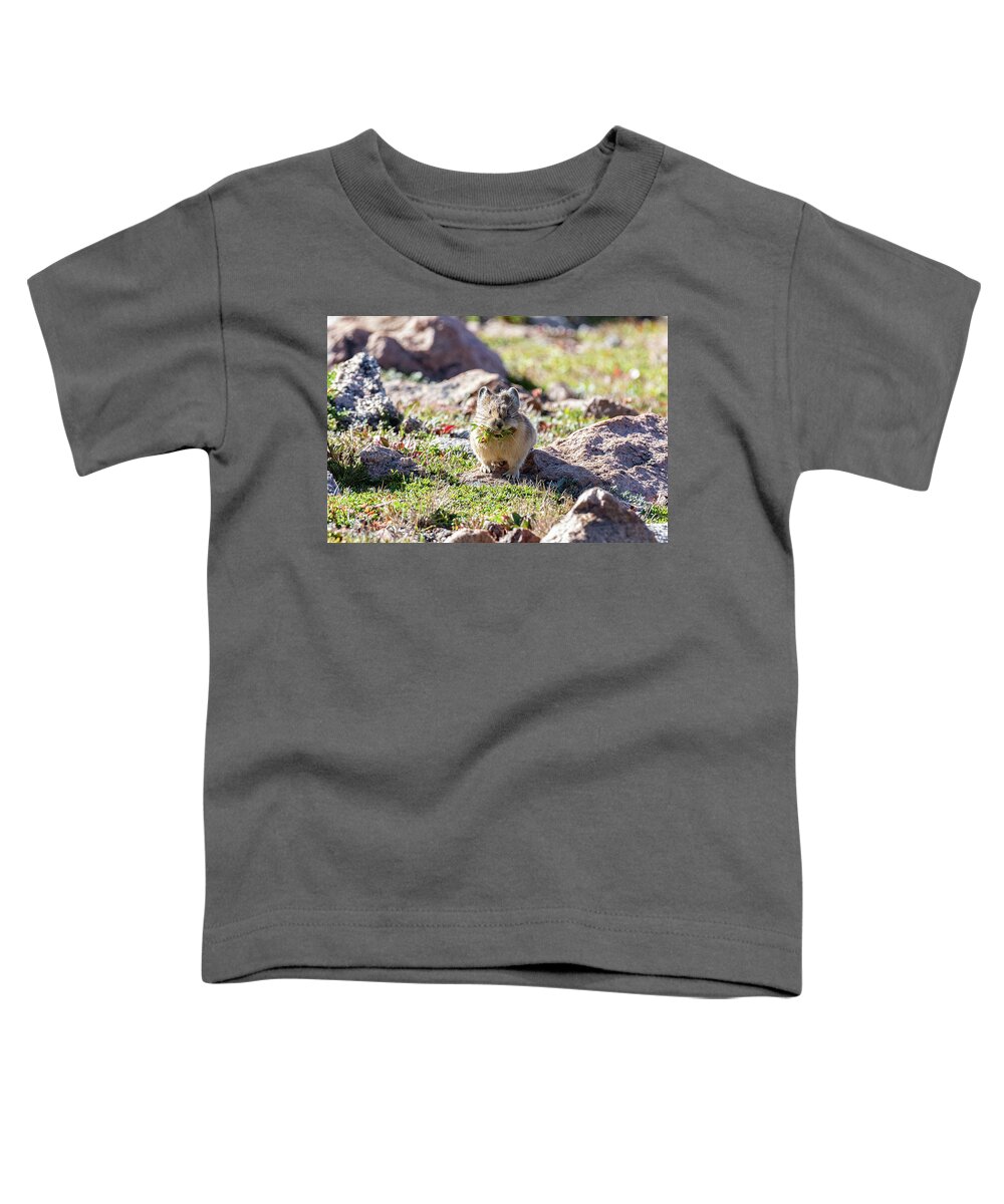 Pika Toddler T-Shirt featuring the photograph American Pika with a Mouthful #1 by Tony Hake