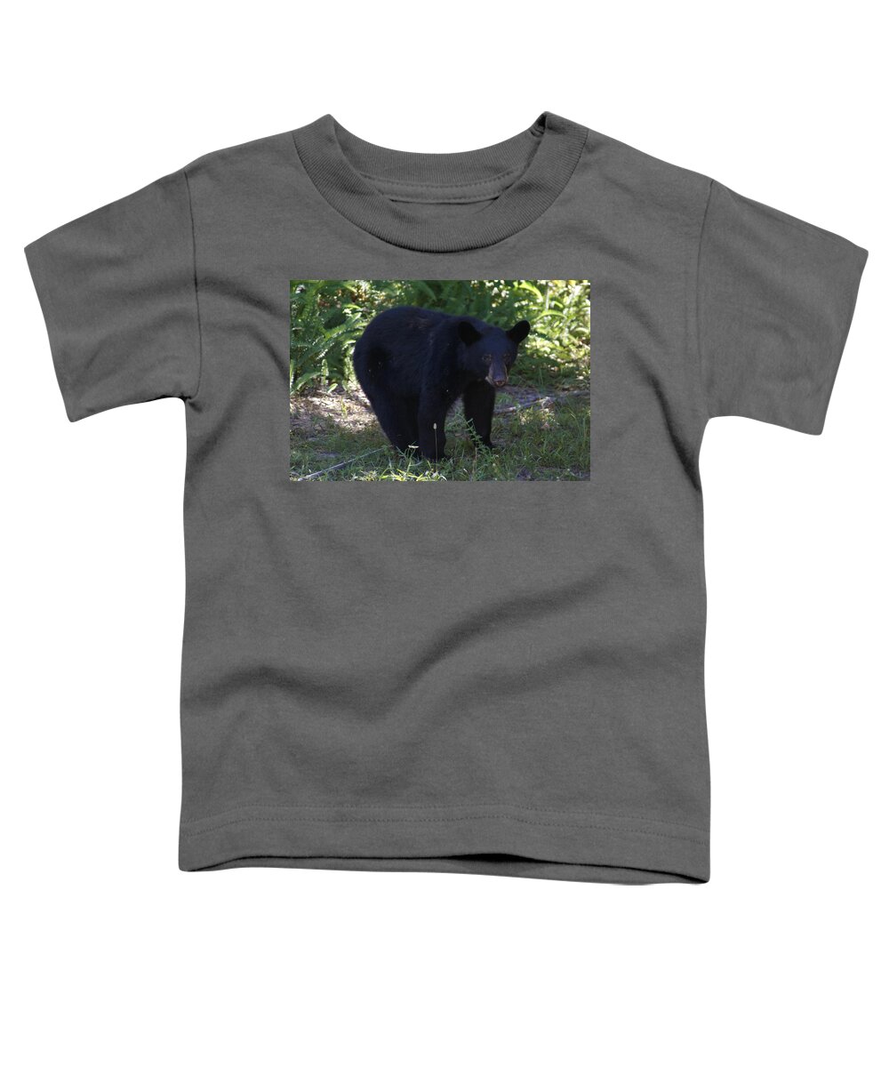 Florida Toddler T-Shirt featuring the photograph Black Bear Cub #1 by Lindsey Floyd