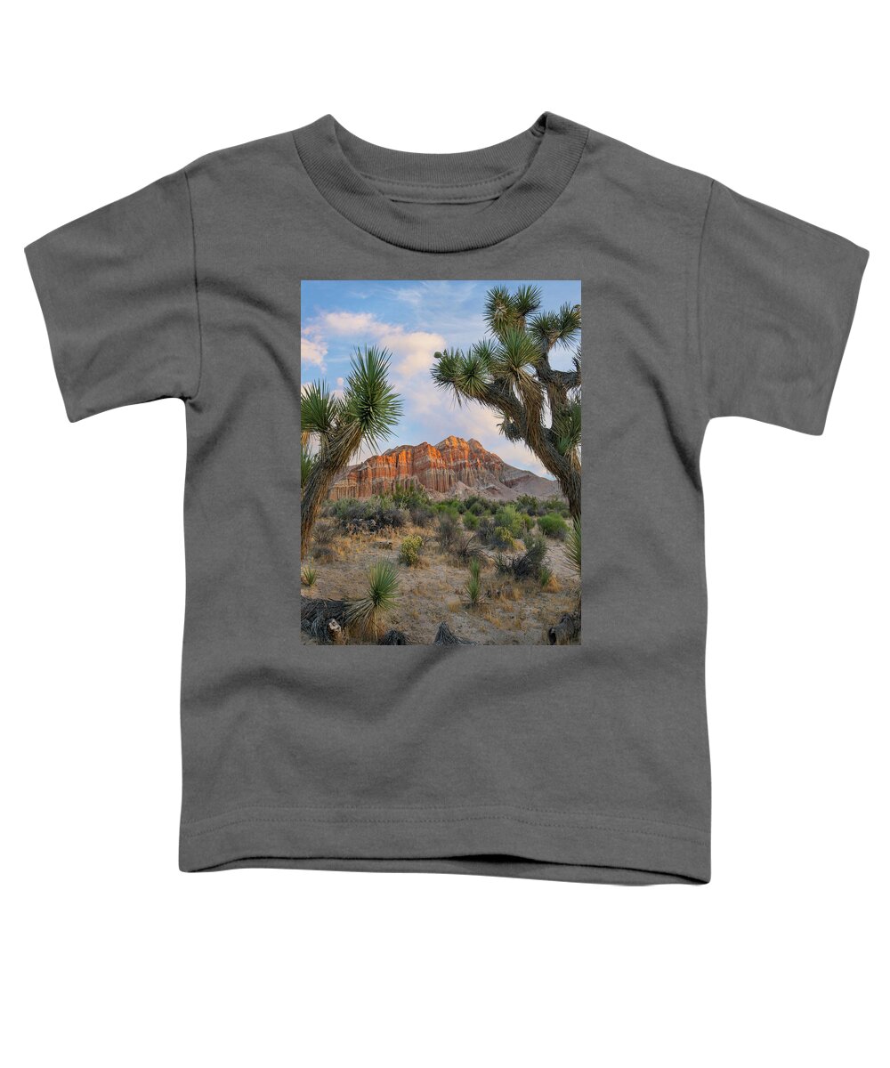 00571642 Toddler T-Shirt featuring the photograph Joshua Tree And Cliffs, Red Rock Canyon State Park, California #1 by Tim Fitzharris