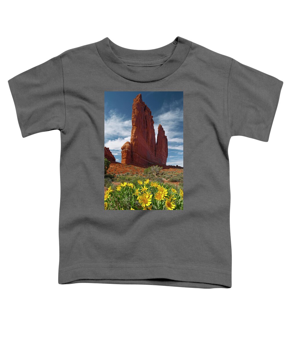 Jeff Foott Toddler T-Shirt featuring the photograph Mule-ears At The Organ #1 by Jeff Foott