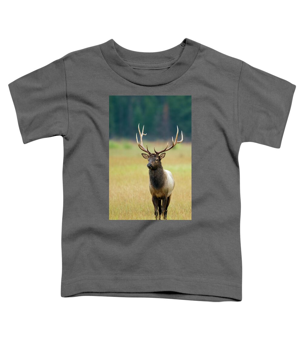 Bull Toddler T-Shirt featuring the photograph Rocky Mountain Bull Elk 6x6 #1 by Gary Langley